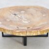 Table basse bois pétrifié 42244