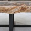 Table basse bois pétrifié 42255