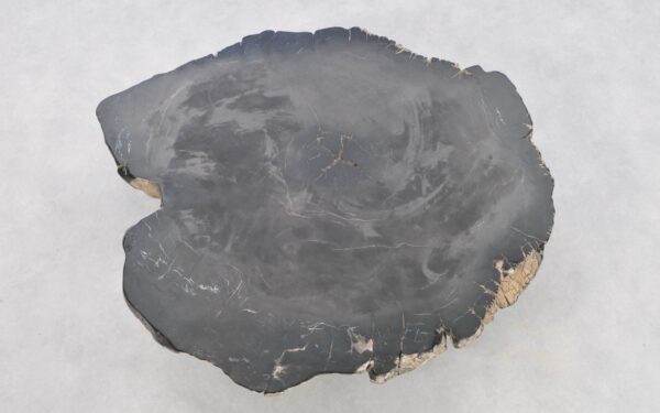Table basse bois pétrifié 42267