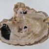 Wash hand basin petrified wood 42320