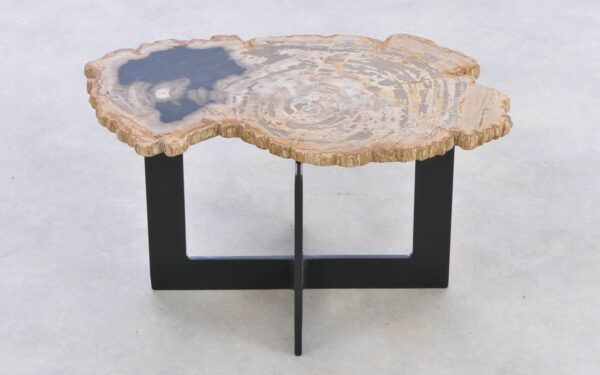 Coffee table petrified wood 42223a