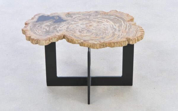 Coffee table petrified wood 42223b
