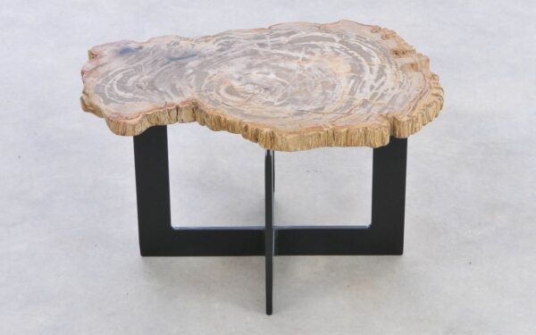 Coffee table petrified wood 42223c