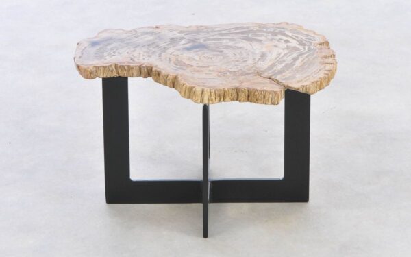 Coffee table petrified wood 42223d
