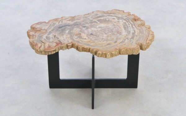 Coffee table petrified wood 42223e