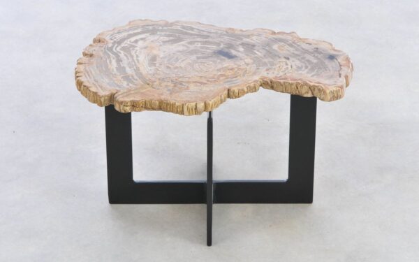 Coffee table petrified wood 42223f