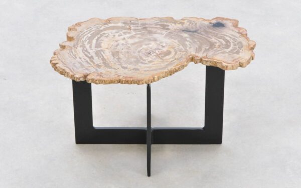 Coffee table petrified wood 42223g
