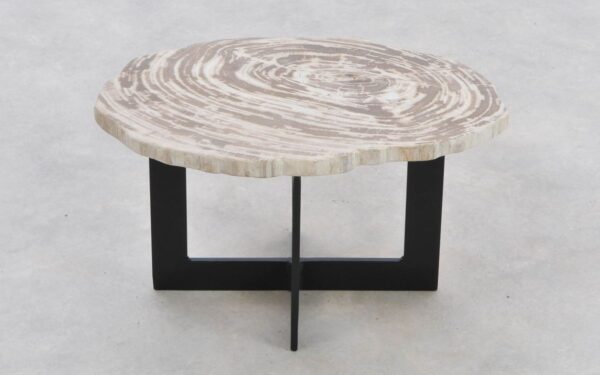 Coffee table petrified wood 42282a