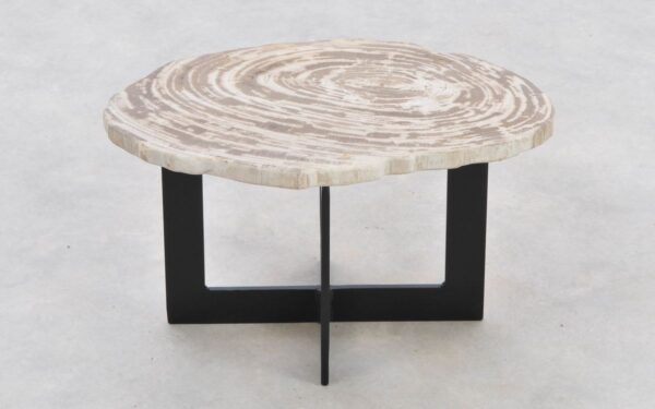 Coffee table petrified wood 42282b