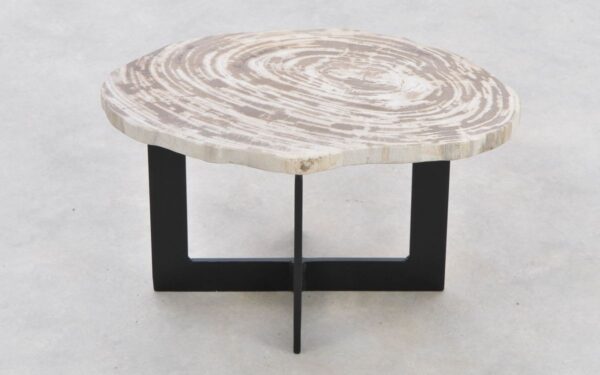 Coffee table petrified wood 42282c