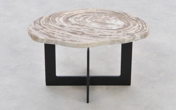 Coffee table petrified wood 42282d