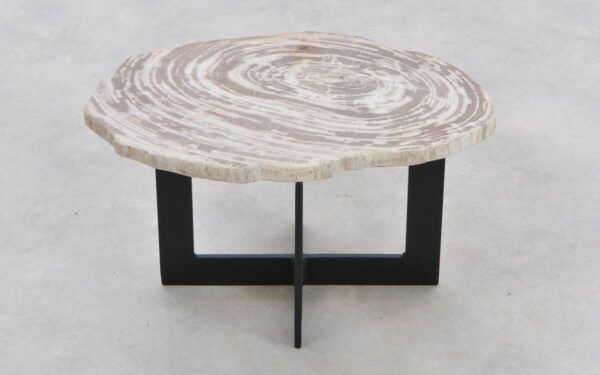 Coffee table petrified wood 42282g