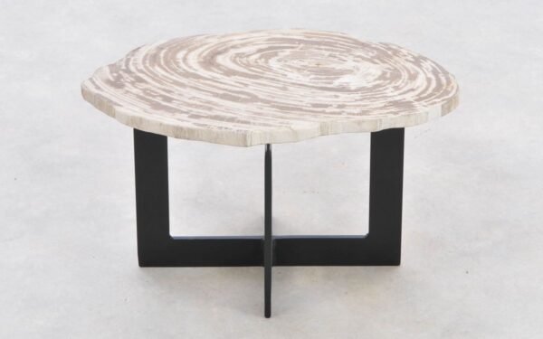 Coffee table petrified wood 42282i