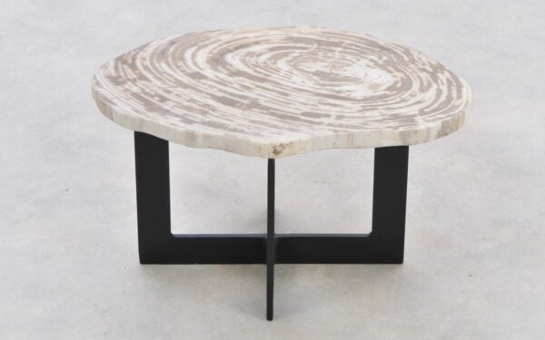 Couchtisch versteinertes Holz 42282c