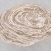 Table basse bois pétrifié 42282b