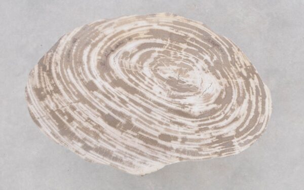 Table basse bois pétrifié 42282c