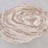 Table basse bois pétrifié 42282h