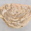 Beistelltisch versteinertes Holz 43394