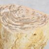 Beistelltisch versteinertes Holz 43394