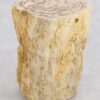 Bijzettafel versteend hout 43394