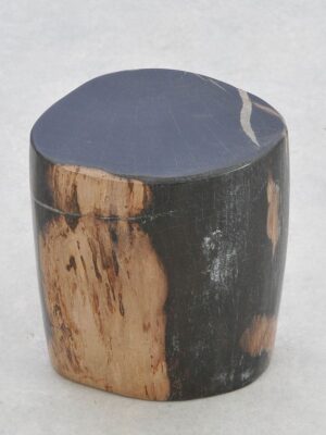 Side table petrified wood 43016