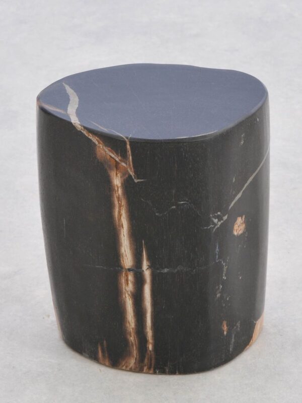 Side table petrified wood 43016