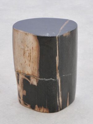 Side table petrified wood 43017