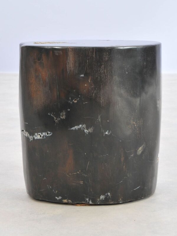 Side table petrified wood 43020