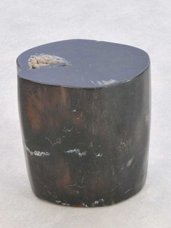 Side table petrified wood 43020