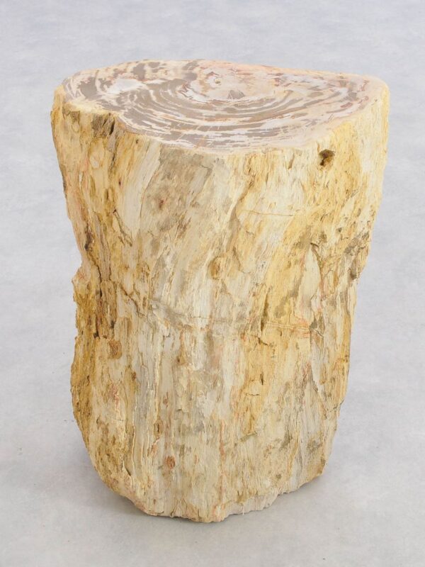 Side table petrified wood 43394