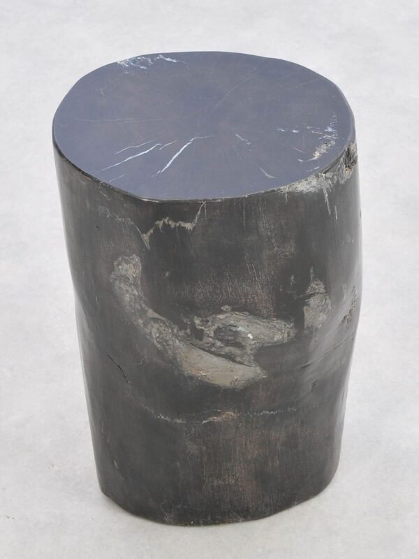 Table d'appoint bois pétrifié 43013
