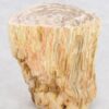 Table d'appoint bois pétrifié 43394