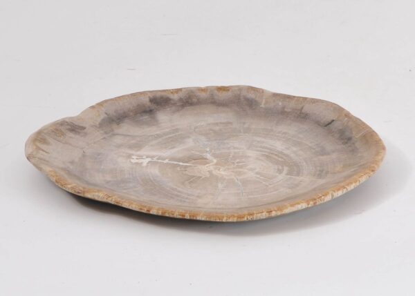 Assiette bois pétrifié 43071h