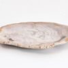Assiette bois pétrifié 43076d