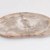 Assiette bois pétrifié 43077b
