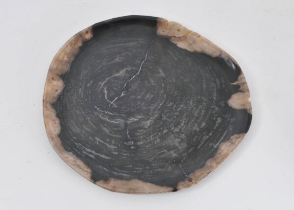 Assiette bois pétrifié 43092