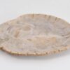 Assiette bois pétrifié 43125h