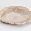 Assiette bois pétrifié 43388k