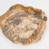 Bord versteend hout 43068f