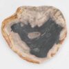 Bord versteend hout 43068i