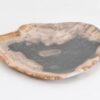 Bord versteend hout 43068i