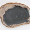 Bord versteend hout 43068k