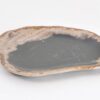 Bord versteend hout 43068k