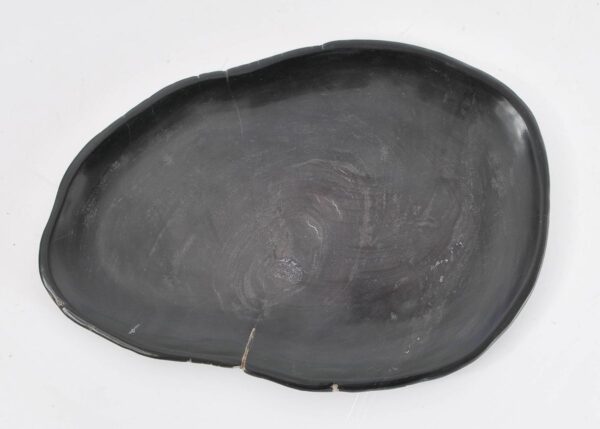 Bord versteend hout 43070c