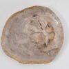 Bord versteend hout 43071j