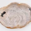 Bord versteend hout 43076j