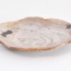 Bord versteend hout 43076j