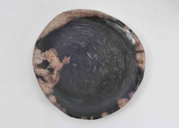 Bord versteend hout 43087