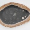Bord versteend hout 43101