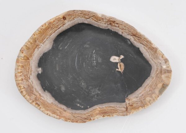 Bord versteend hout 43116